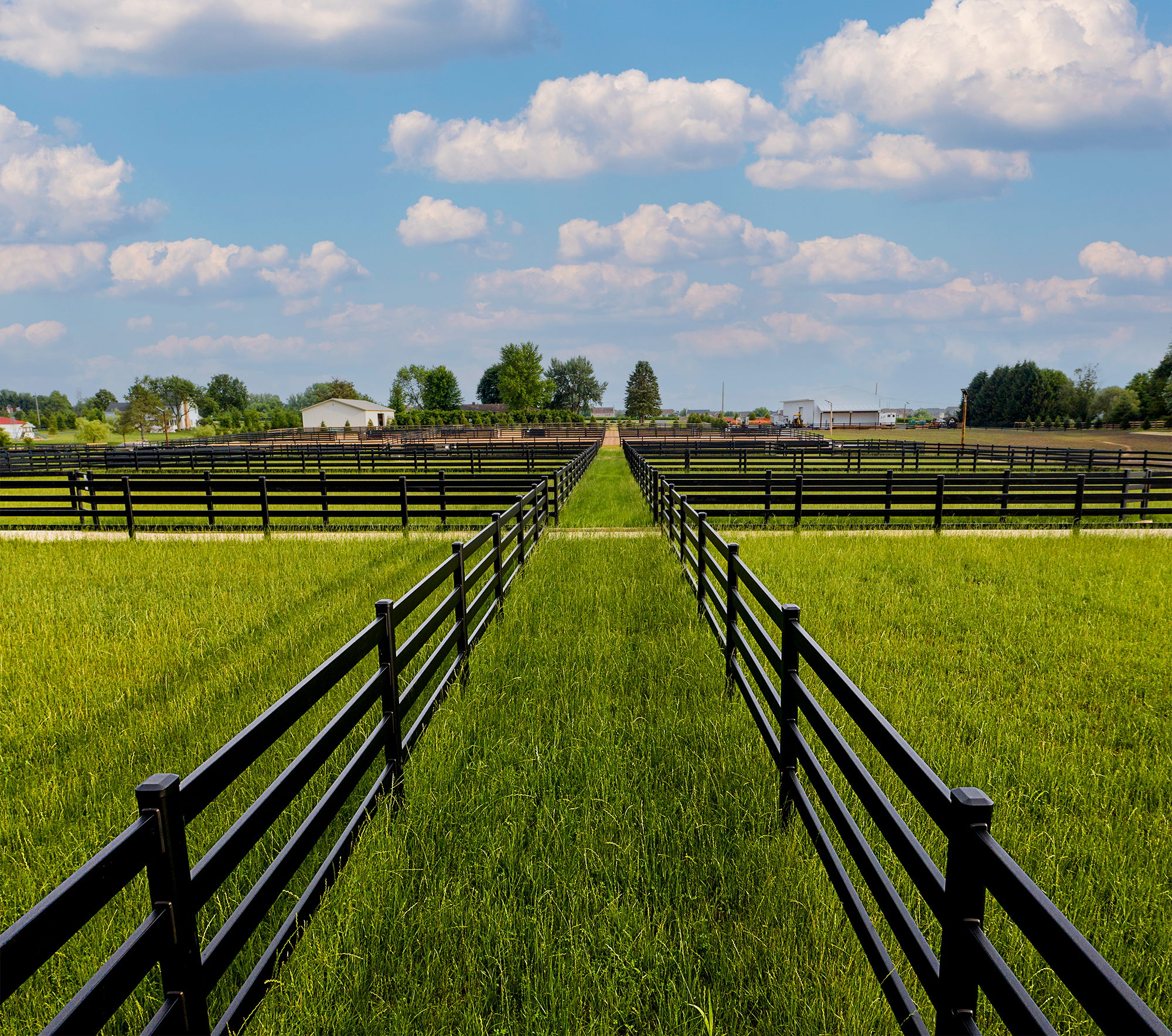 Black Buckley fence across green pasture