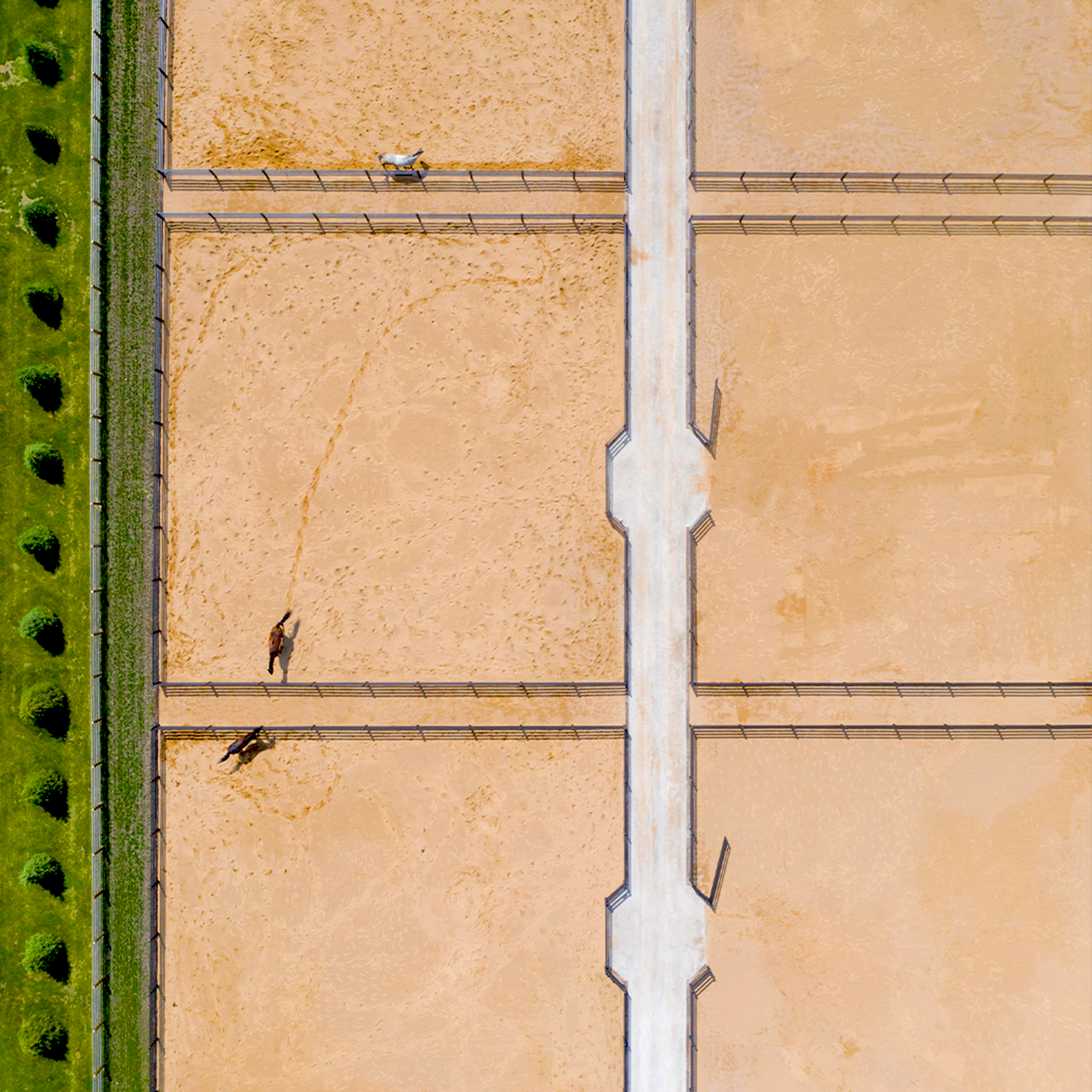 Aerial view of straight Buckley fence lines